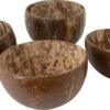 Cosy & Trendy Kom Coconut Bruin 0,25 L 4 Stuks -Bekend Keukenartikelen Winkel 5400586826912 0 1