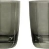Gusta Glas Grijs 300 Ml 2 Stuks -Bekend Keukenartikelen Winkel 8712628437831 0