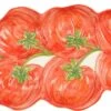 Mica Decorations Bord Tomaten Rood 31 X 15 X 3,5 Cm -Bekend Keukenartikelen Winkel 8720362237730 0